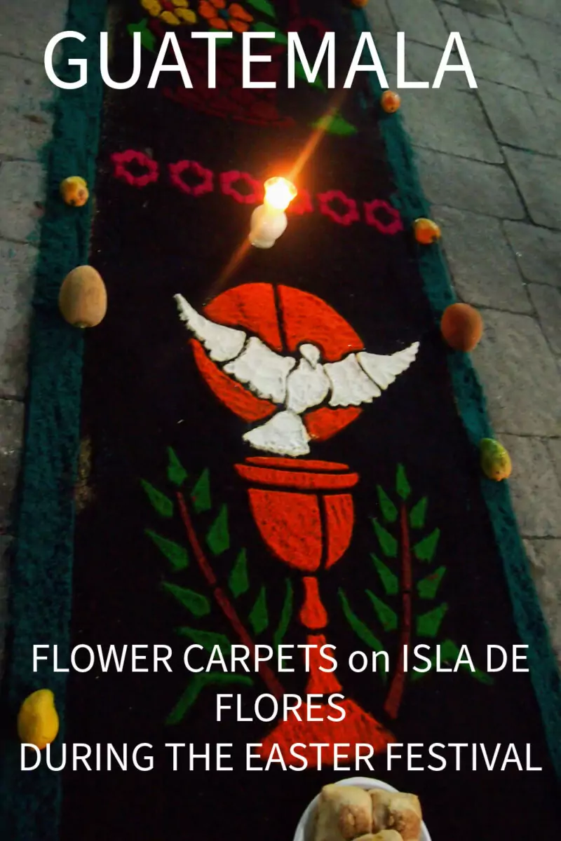 Chalice and dove flower carpet on the street in flores