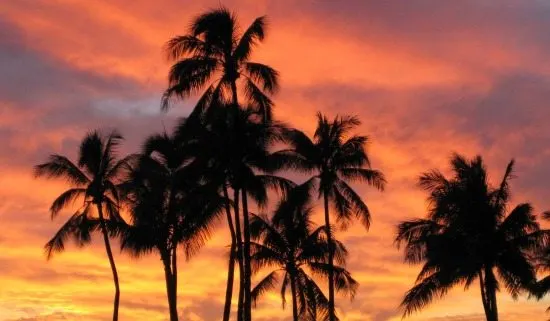 Honolulu Sunset from 550 Ala Moana Park