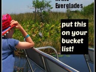 Airboat Everglades National Park