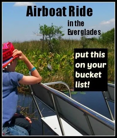 Airboat Everglades National Park