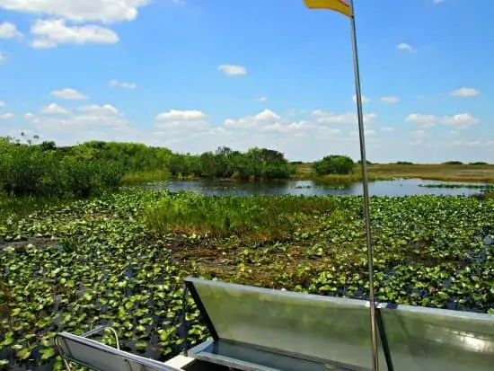 Airboat Everglades