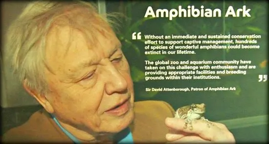 David Attenborough Visit London Zoo