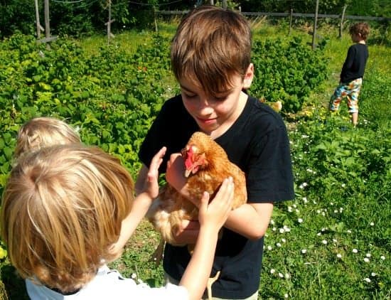 Child friendly villa. Organic farm and chickens. World Travel Family travel blog.