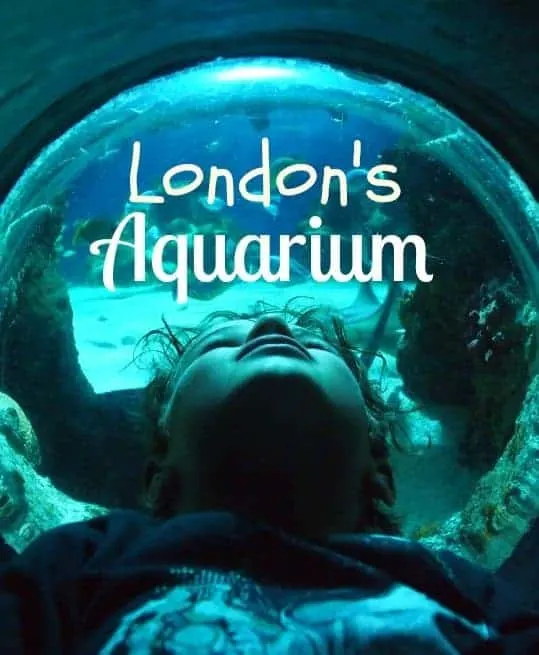 Sea Life Centre London Aquarium Review