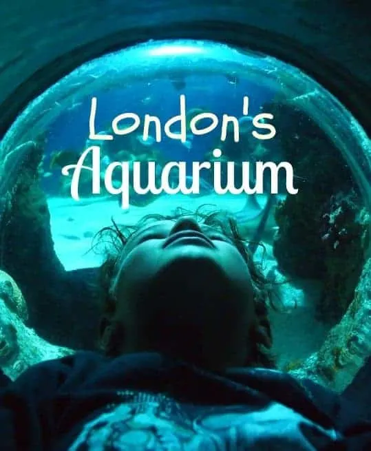 London aquarium review