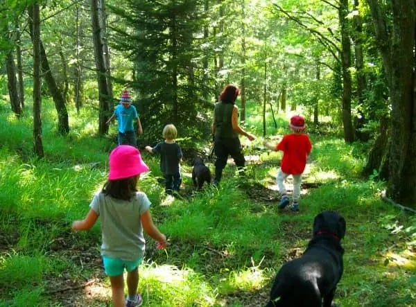 Truffle hunting with dogs in Italy