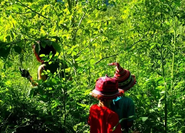 Truffle Hunting in Italy