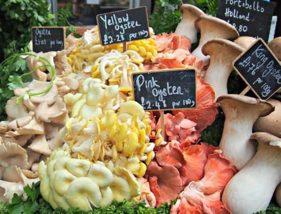 Borough Market fresh mushrooms