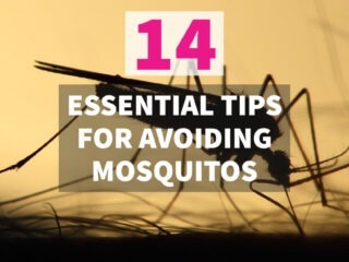 avoiding mosquitos