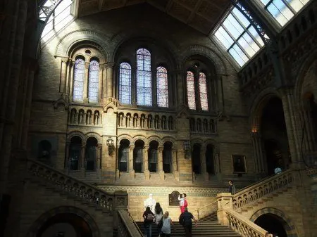 Natural history museum interior