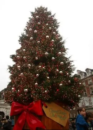  Christmas tree London