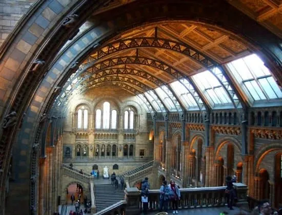 Natural History Museum Interior