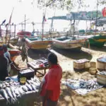 Galle Sri Lanka. Fishermen sell their catch on the beach.