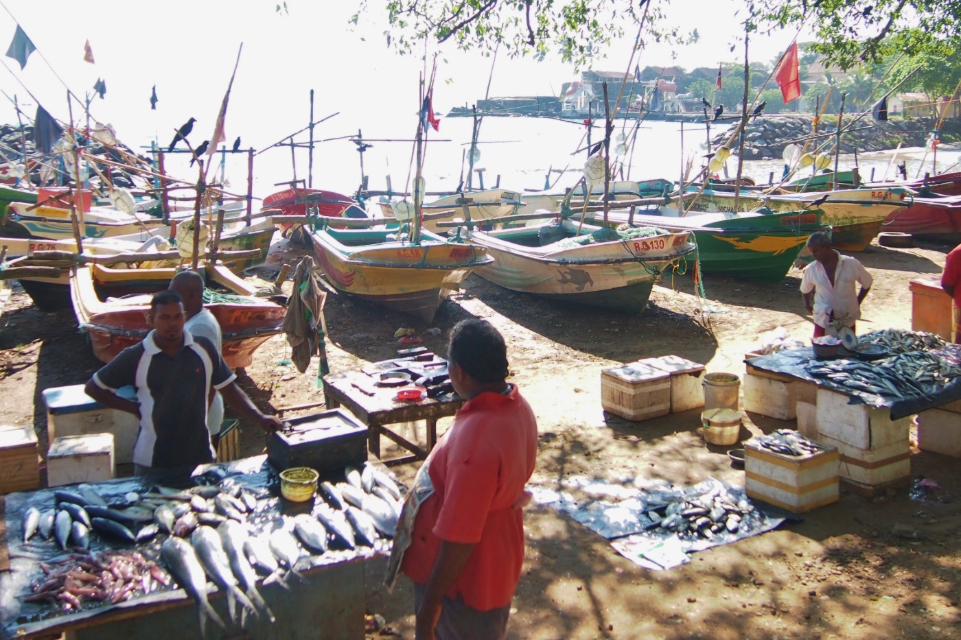 Galle Sri Lanka. Fishermen sell their catch on the beach.