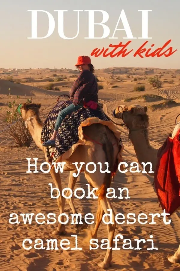 Dubai with kids book a desert camel safari without dune bashing blog