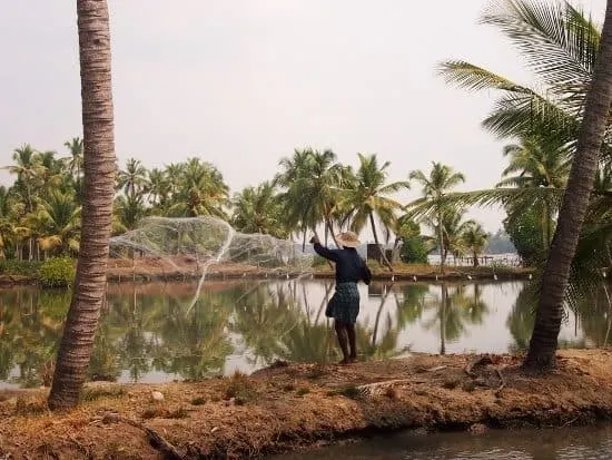 Cochin Kerala Fishing