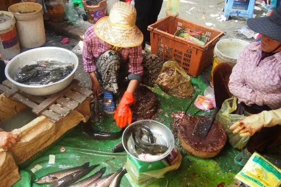 killing fish in Cambodia. Food Market