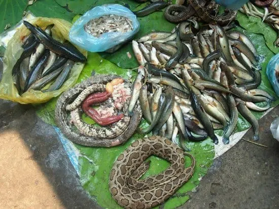 snake cambodian food market battambang