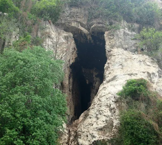 The bat cave battambang cambodia