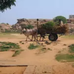 Hampi India