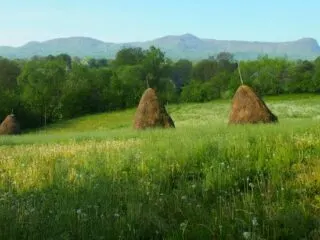 A meadow in a Romanian village