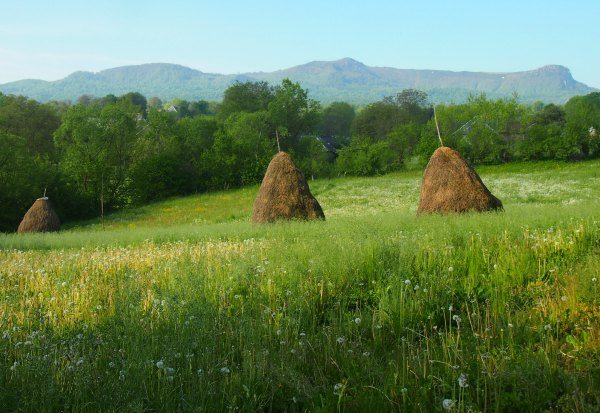 A meadow in a Romanian village