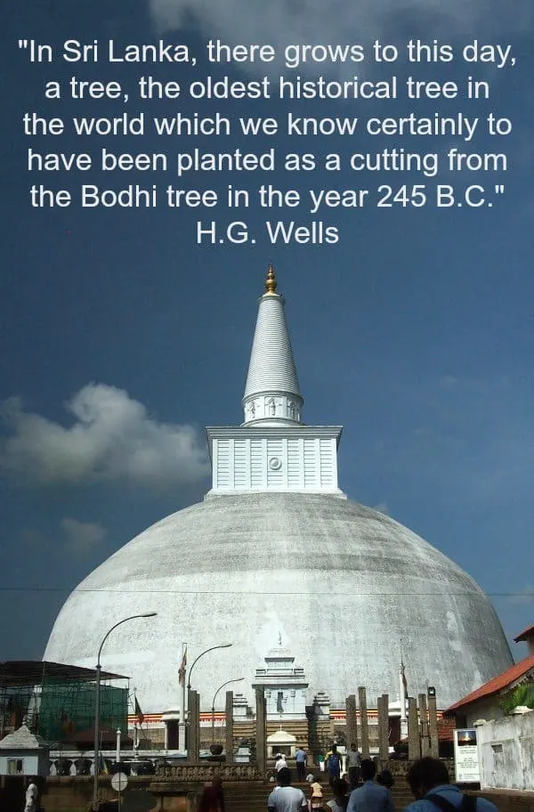 Visiting Anuradhapura and the Ancient Bo Tree, Quote by HG Wells.