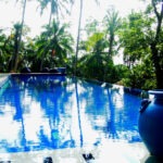 Beautiful swimming pool in the jungle at the Templeberg Villa, Galle Sri Lanka