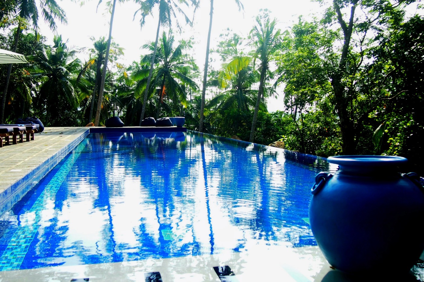 Beautiful swimming pool in the jungle at the Templeberg Villa, Galle Sri Lanka