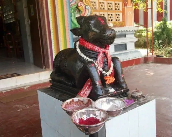 Getting to Jaffna, Sri Lanka. Things o do in Jaffna. Nandi Bull at Jaffna's main Hindu temple.