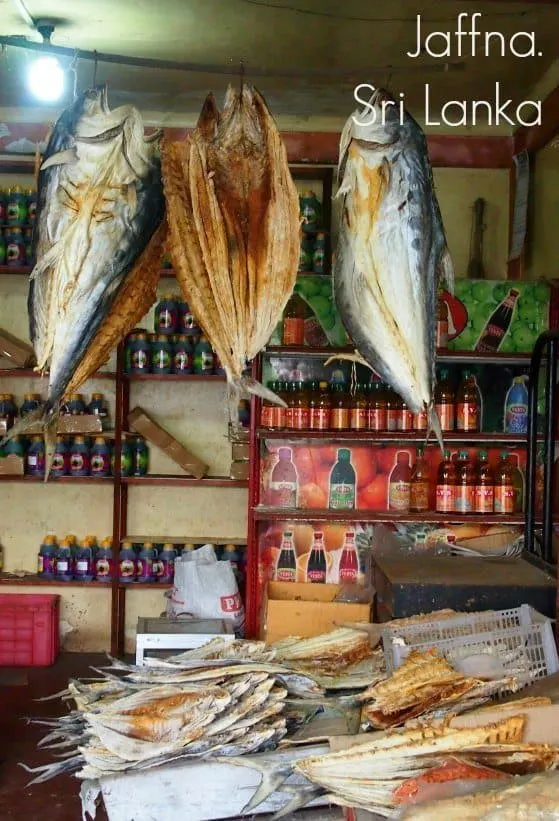 Dried fish for sale in Jaffna Sri Lanka. Getting to Jaffna and things to do in Jaffna