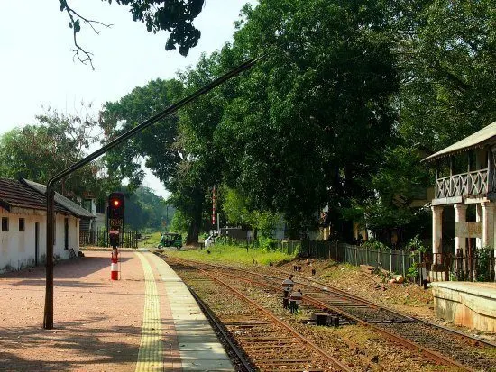  Waiting for Train to Jaffna from Anuradhapura station, watching monkeys and tuk tuks cross the tracks.
