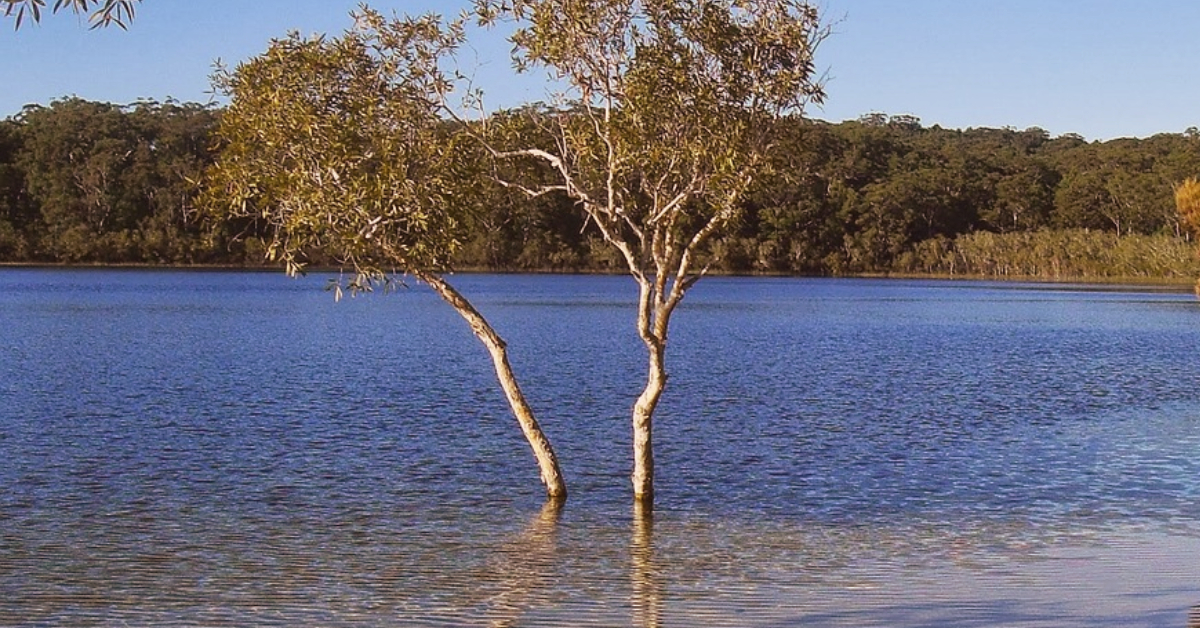 getting to fraser island australia