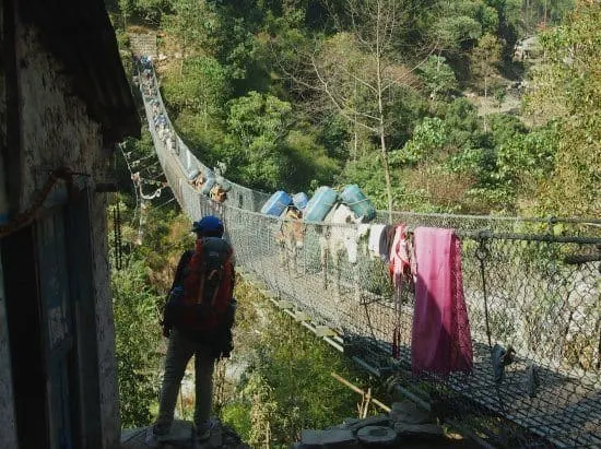 Scary Bridges Everest Trek