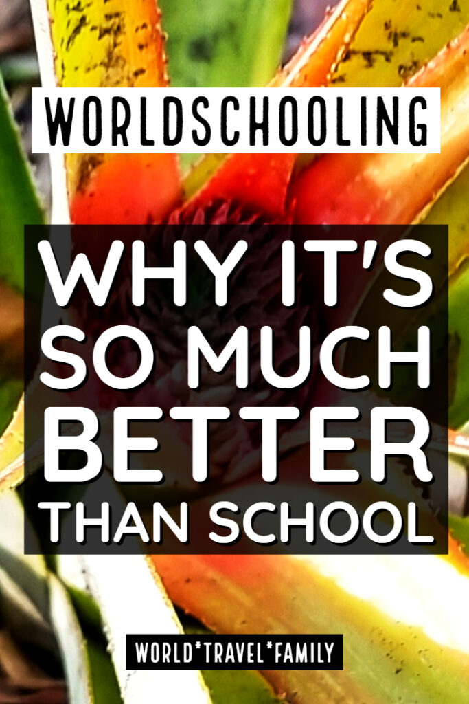 Why is worldschooling better than school
