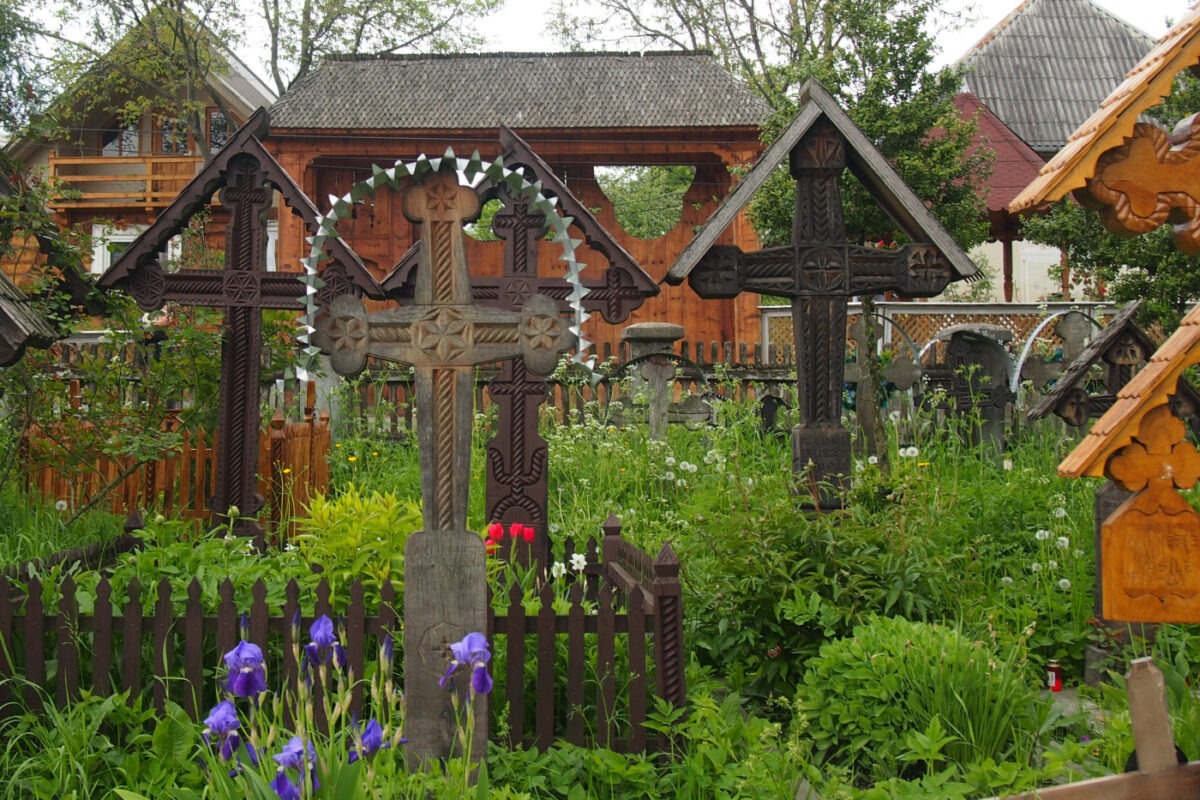 Romania Spring flowers