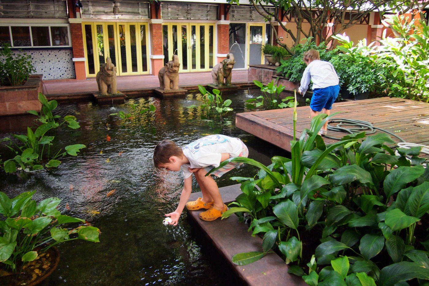 children looking at the fish in the pond at the Rambuttri Village Inn hotel in Bangkok