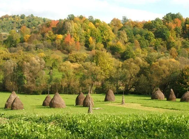 maramures romania hay stacks