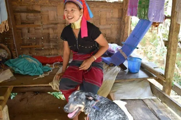 Hill Tribe Woman Mae Hong Song