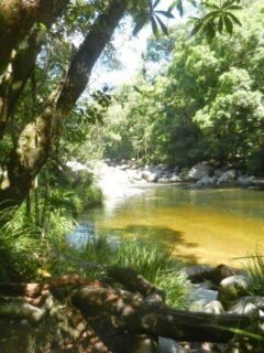 Mossman Gorge Fresh Water Swimming Hole Near Port Douglas