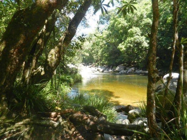 Mossman Gorge Fresh Water Swimming Hole Near Port Douglas