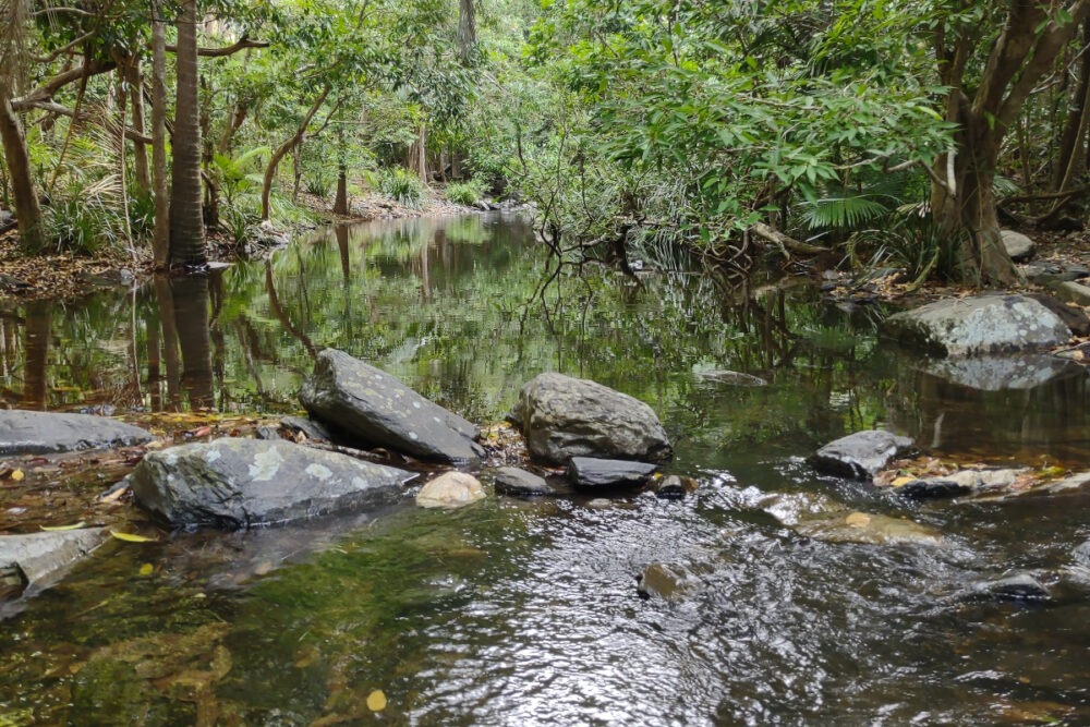 Spring Creek near Port Douglas