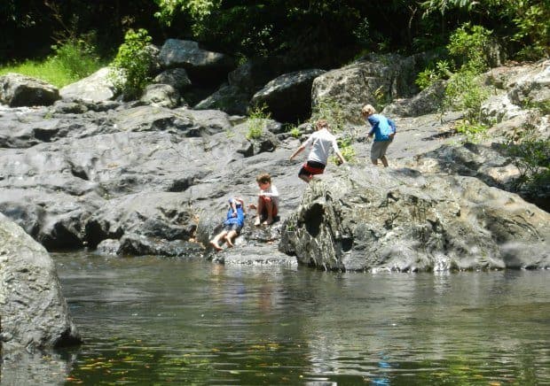 Swimming at Crystal Cascades Near Cairns