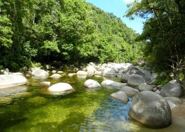 Swimming at Mossman Gorge. Fresh Water Swimming Hole