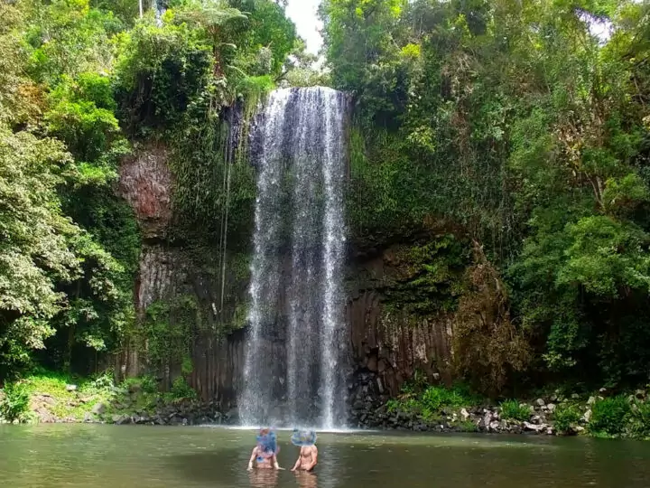 millaa millaa falls swimming under a waterfall