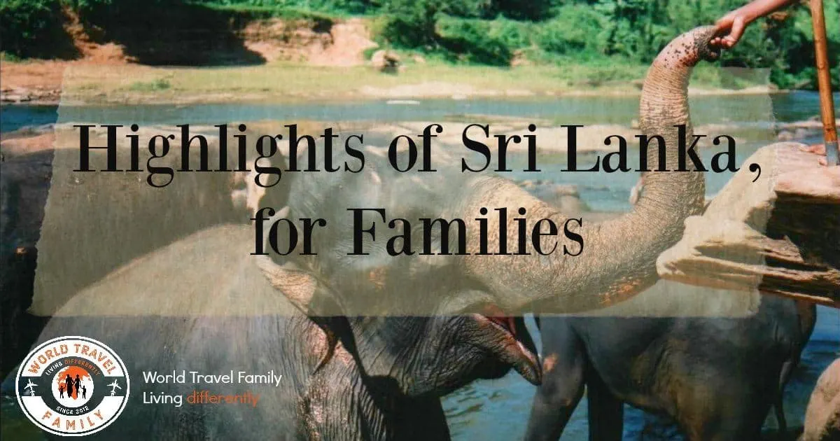 Highlights of Sri Lanka for Families elephants
