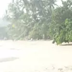 Child on a beautiful beach in sri lanka