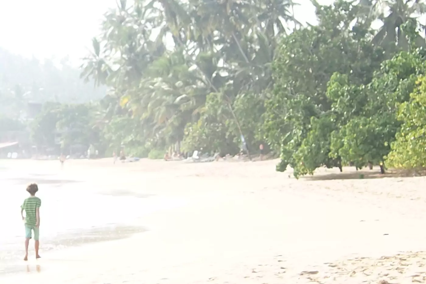 Child on a beautiful beach in sri lanka