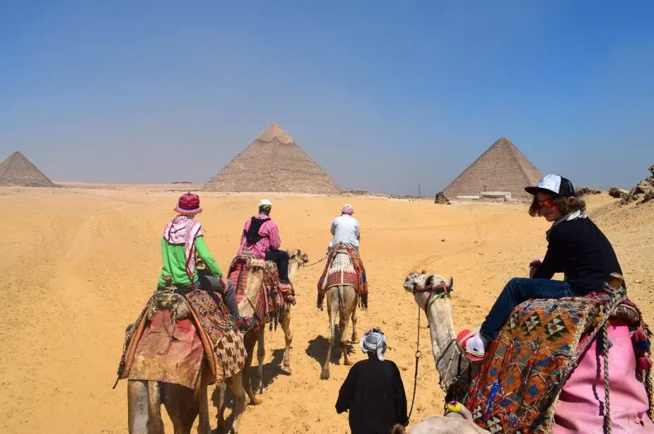 Camels at the pyramids. Riding.