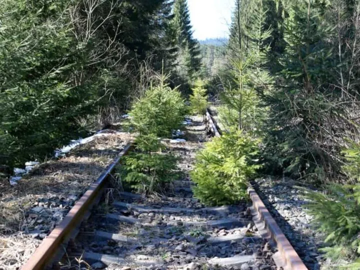 Nature reserve walk near Dracula Castel Hotel